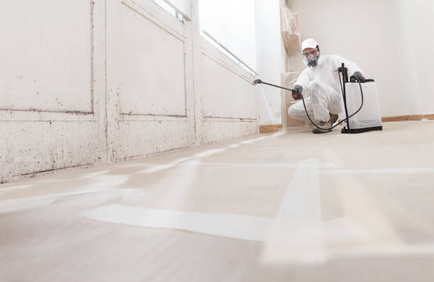24/7 Emergency Mold Remediation experts in Springfield, TN