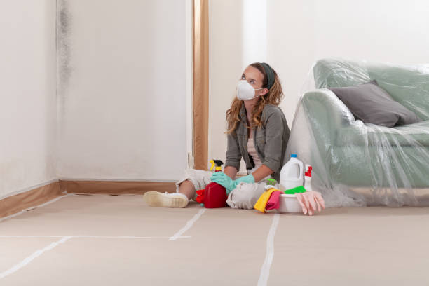 Reliable Mold Remediation contractor in Springfield, TN by WQB Mold Removal